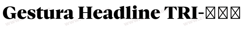 Gestura Headline TRI字体转换 Gestura Headline TRI字体转换